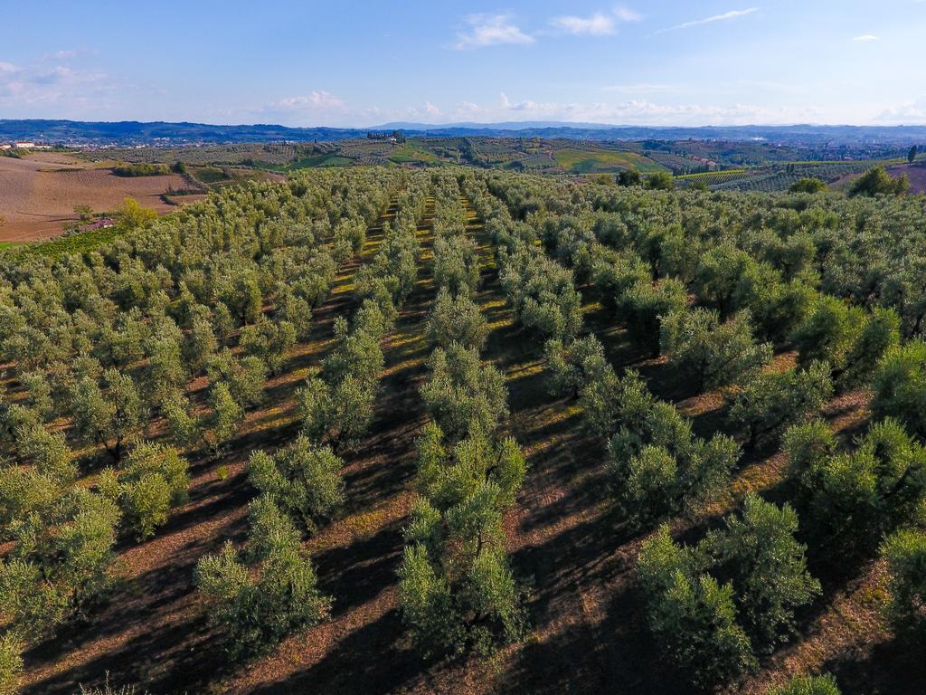 Agriturismo Luggiano Vinci Exterior foto